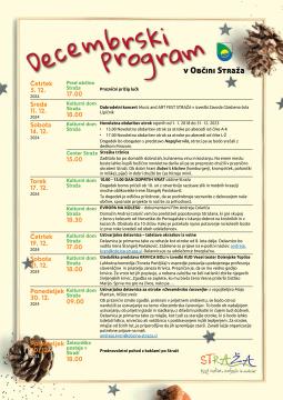 OS decembrsko dogajanje
